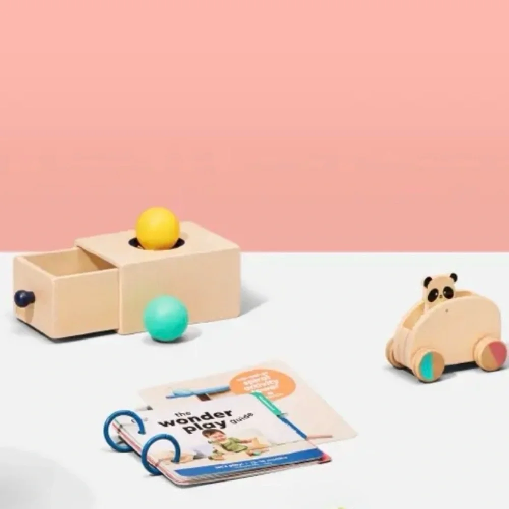 Kiwi Co Panda Crate Wooden Panda Pull Back Car & Ball Drop Drawer Toys NEW